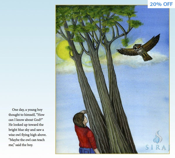 The Boy and the Owl: A Story About the Attributes of God - Islamic Books - Fons Vitae